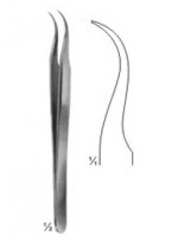 Forceps